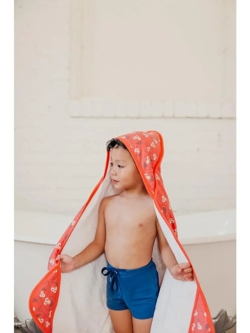 Premium Hooded Baby Bath Towels - Soft Knit & Terry Cloth, Fun Designs